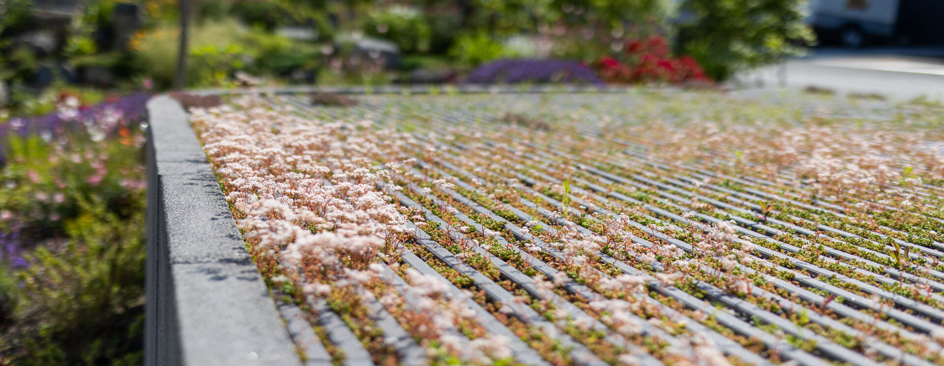 Hydropor Grünfugenpflaster Zur Befestigung des Parkplatzes wurde hier ein Ökobeläg verwendet.